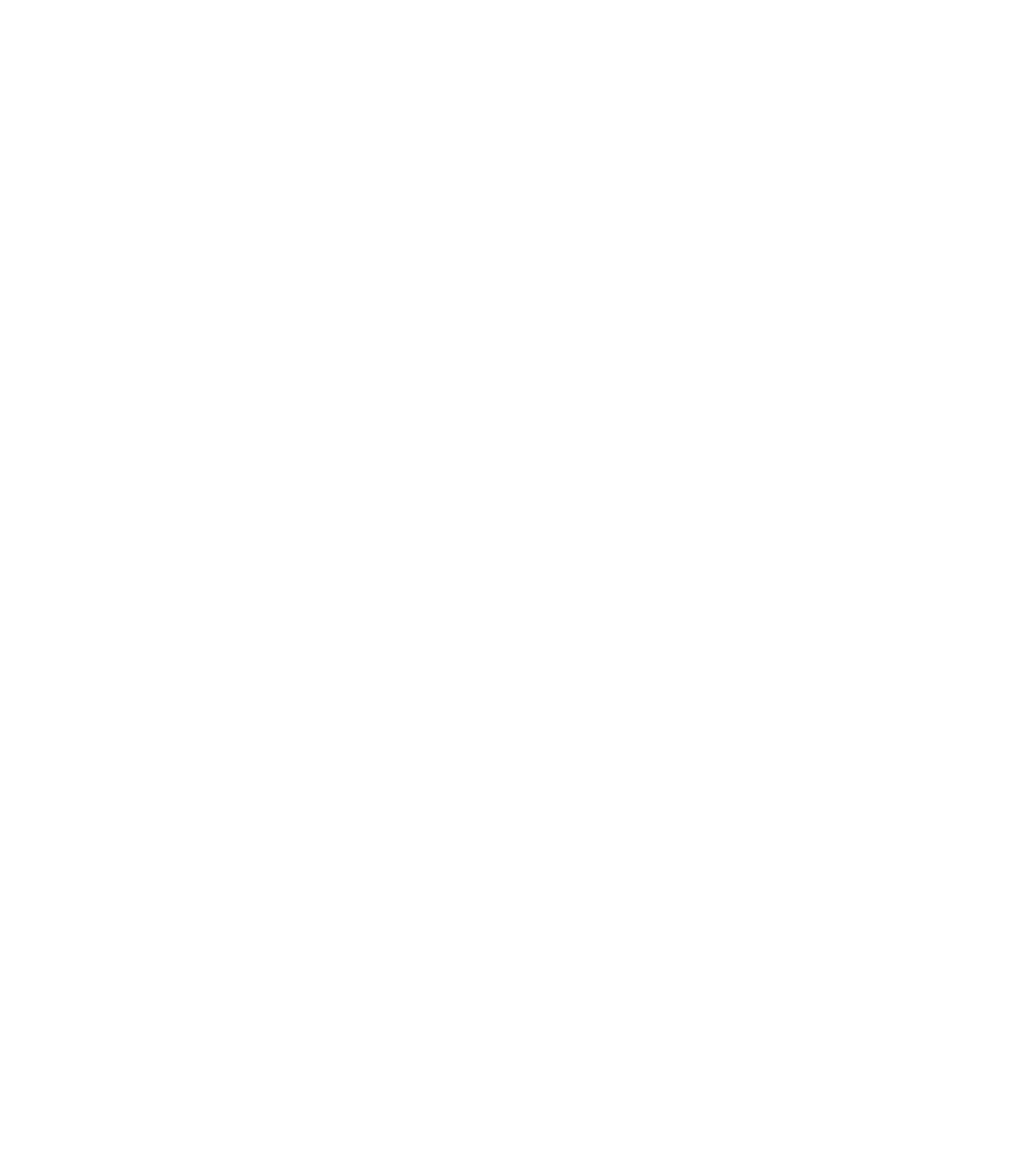 Bolsover-Partnership-logo-White